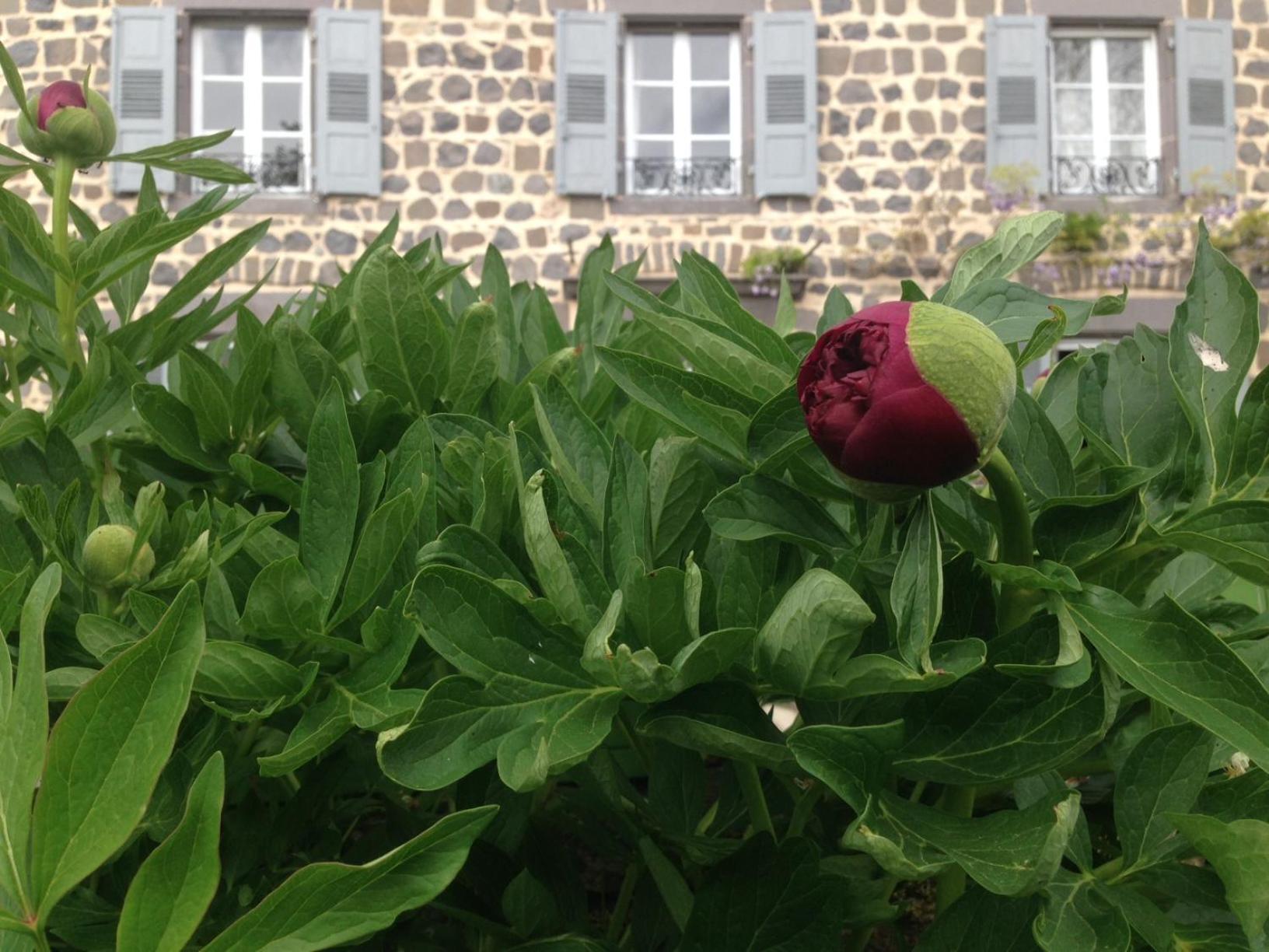 Les Jardins D'Anna - Chambres D'Hotes Tapon Exterior foto